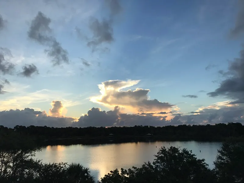 Scenic view